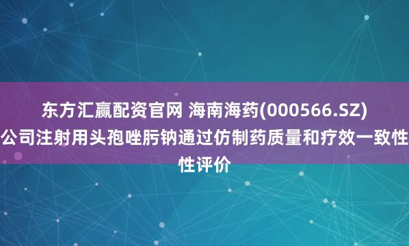 东方汇赢配资官网 海南海药(000566.SZ)：子公司注射用头孢唑肟钠通过仿制药质量和疗效一致性评价