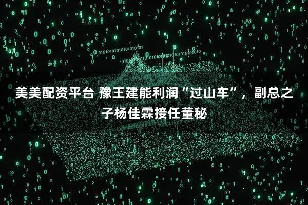 美美配资平台 豫王建能利润“过山车”，副总之子杨佳霖接任董秘