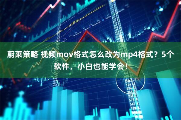 蔚莱策略 视频mov格式怎么改为mp4格式？5个软件，小白也能学会！